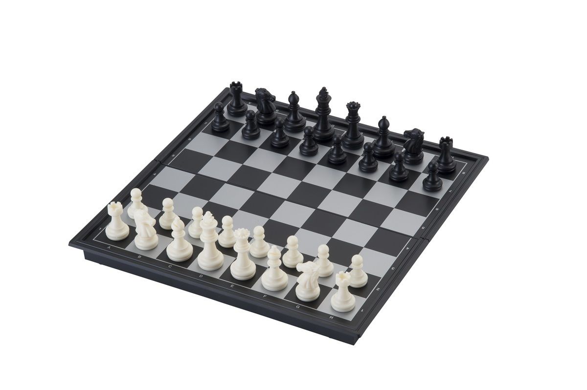 Magnetisch reis schaakbord opklapbaar cm