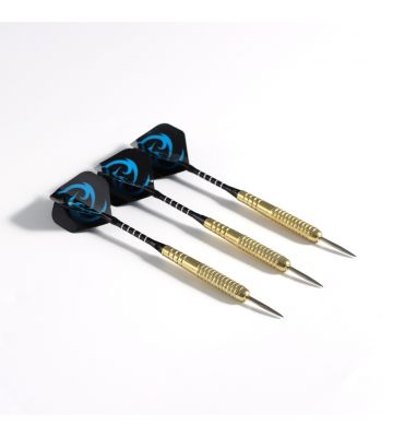 Pegasi dartpijlen set 22gr. ZTB